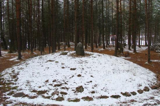 Kamienne Kręgi Węsiory